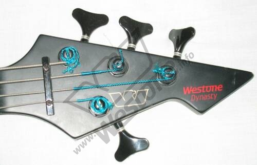 Dynasty Bass headstock