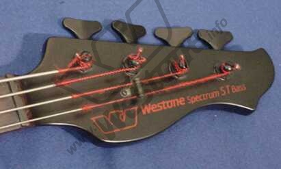 Spectrum ST bass headstock