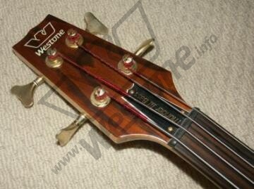 Thunder III fretless head